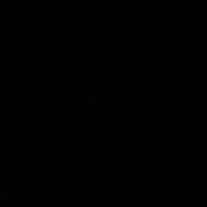 Meet your Posher, Ernesto